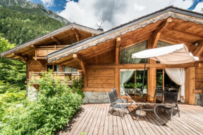 Luxury Chalet Gaillands